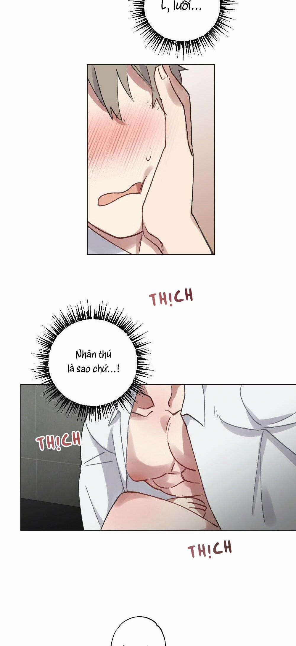 CHĂM SÓC 55 trang 6