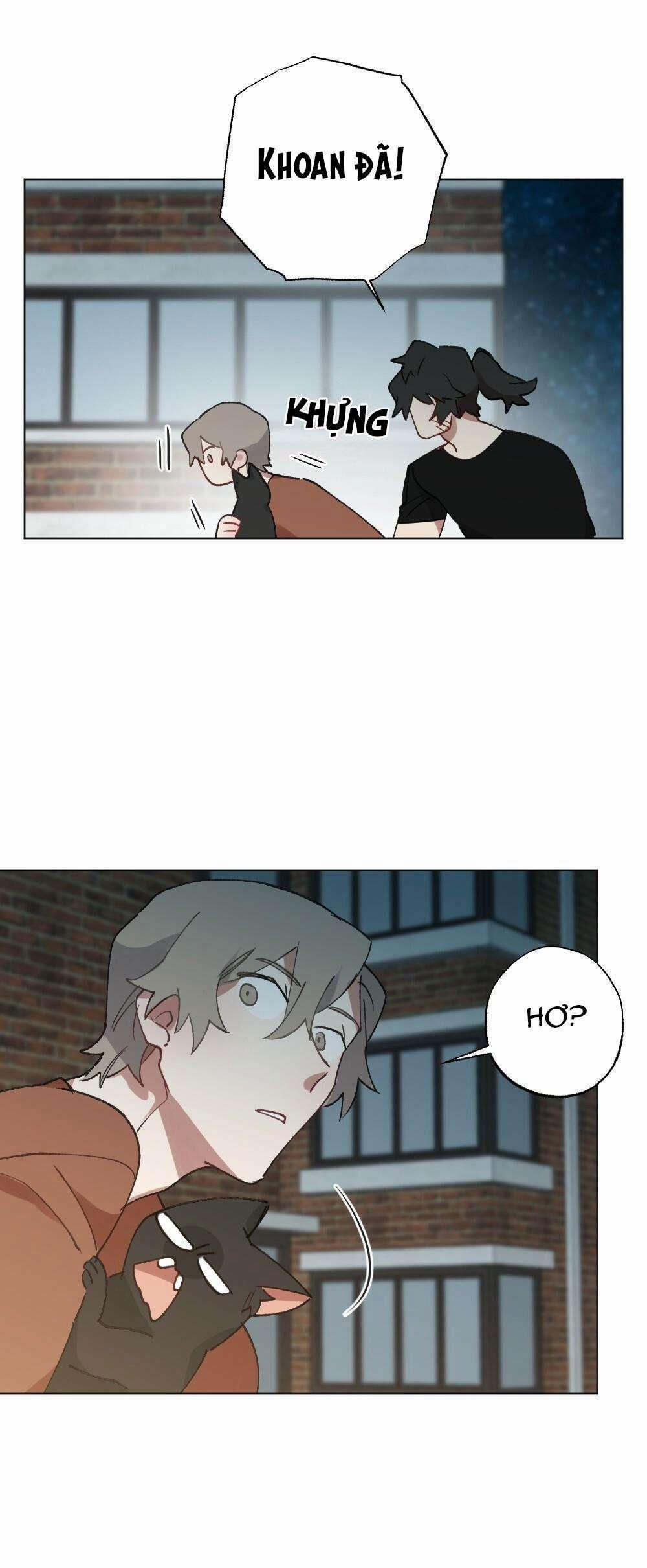 CHĂM SÓC 56 trang 12