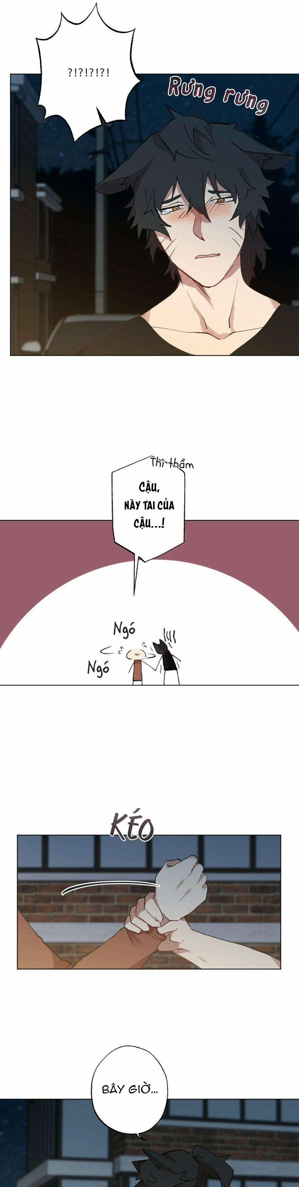 CHĂM SÓC 56 trang 13