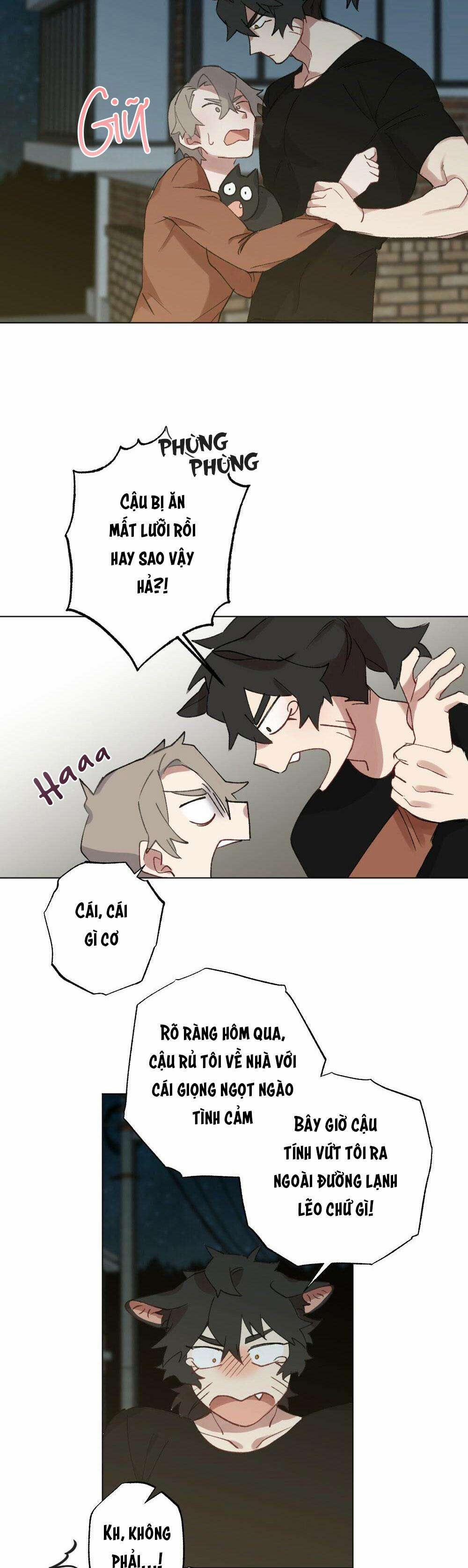 CHĂM SÓC 56 trang 14