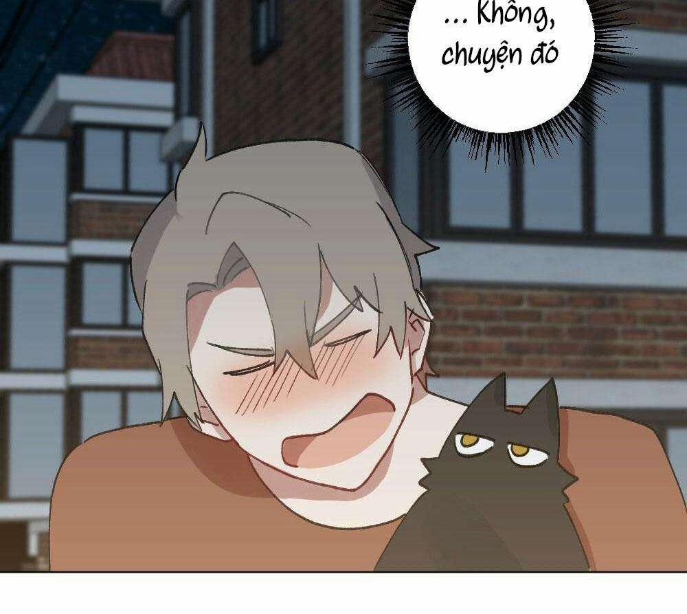 CHĂM SÓC 56 trang 17