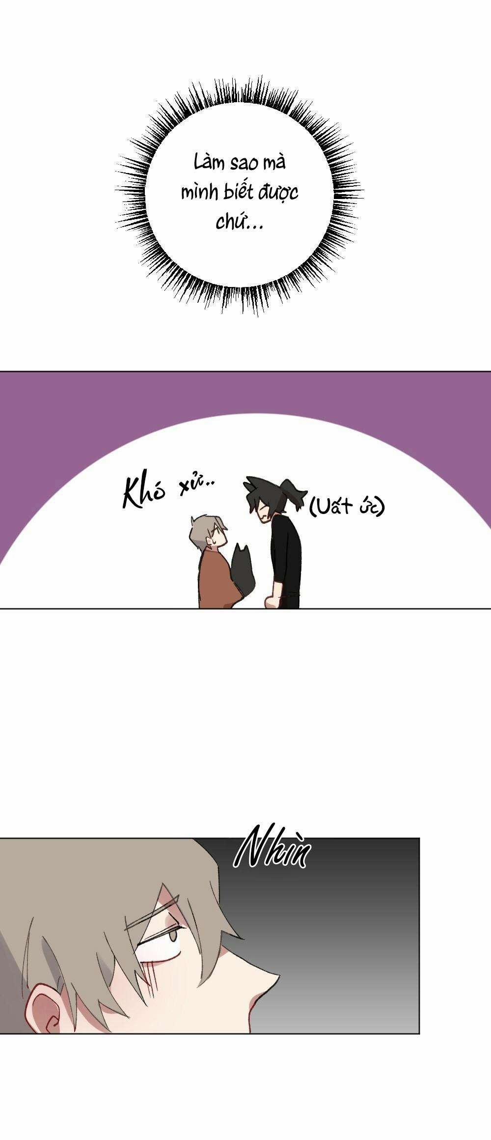 CHĂM SÓC 56 trang 18