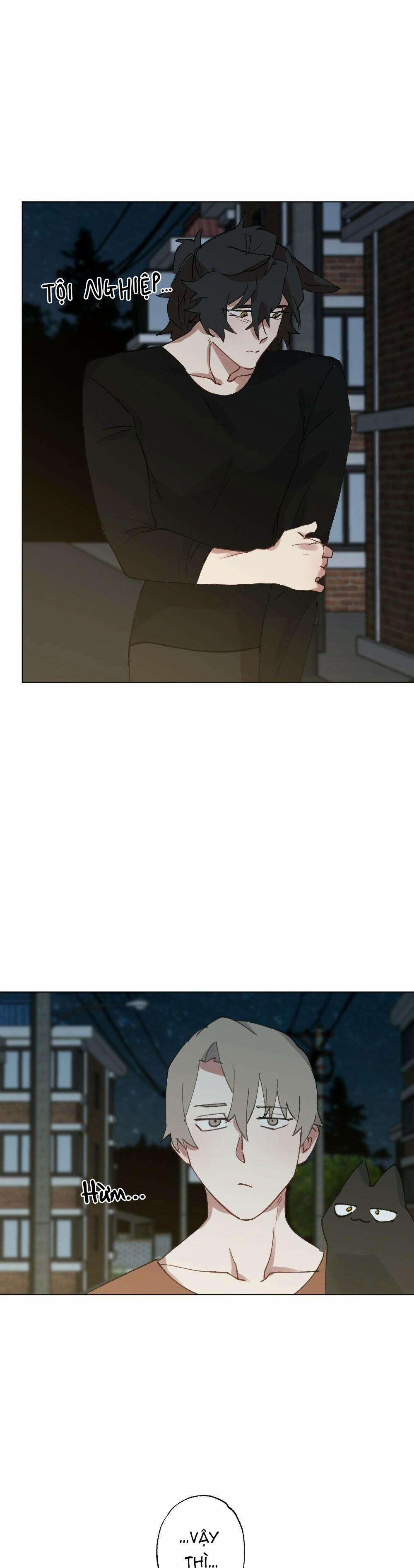 CHĂM SÓC 56 trang 19