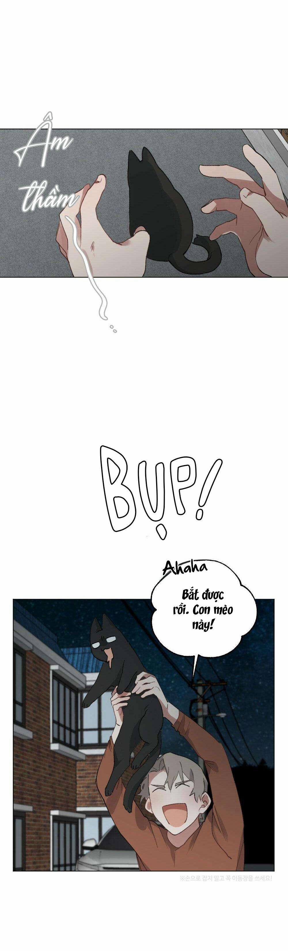 CHĂM SÓC 56 trang 2