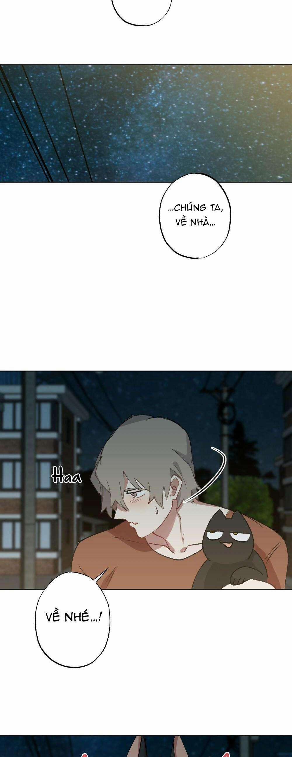 CHĂM SÓC 56 trang 20