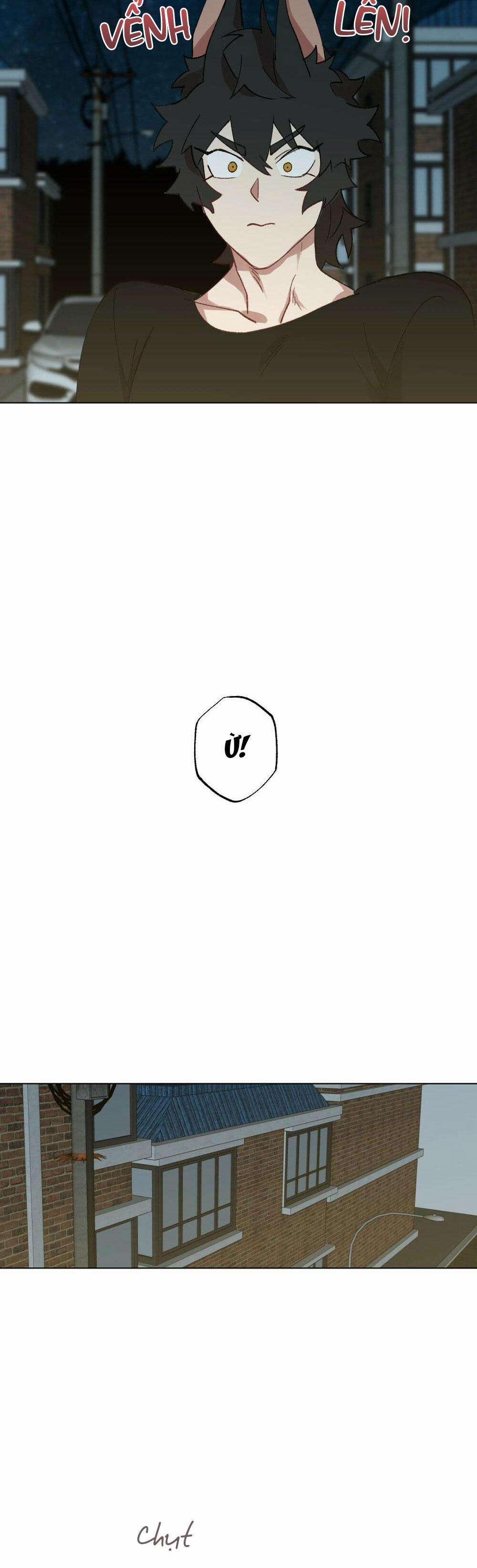 CHĂM SÓC 56 trang 21