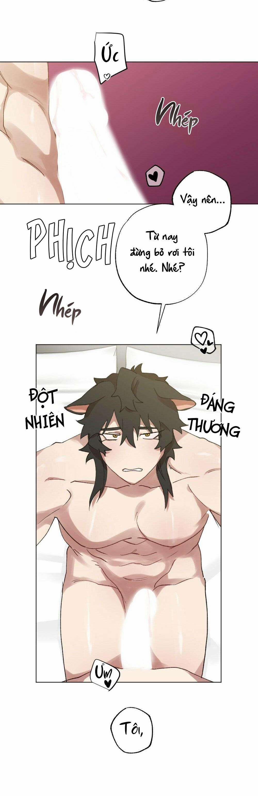 CHĂM SÓC 56 trang 28