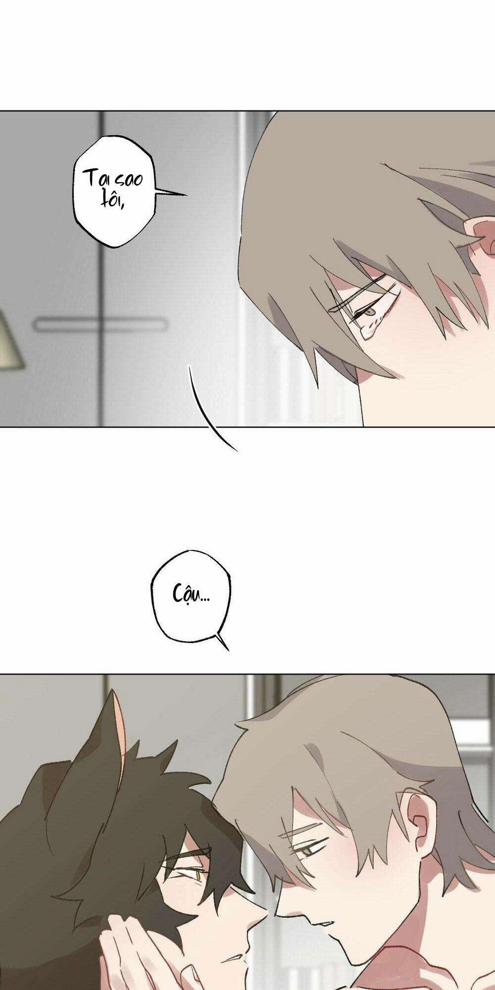 CHĂM SÓC 56 trang 29