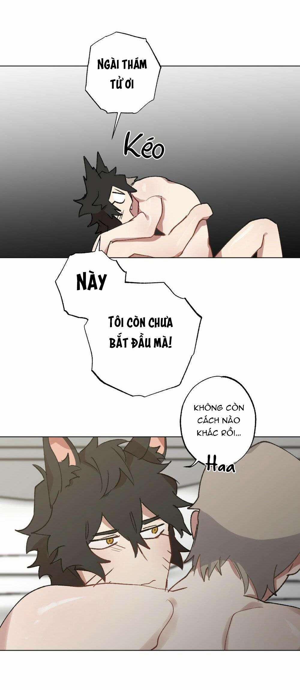 CHĂM SÓC 56 trang 36