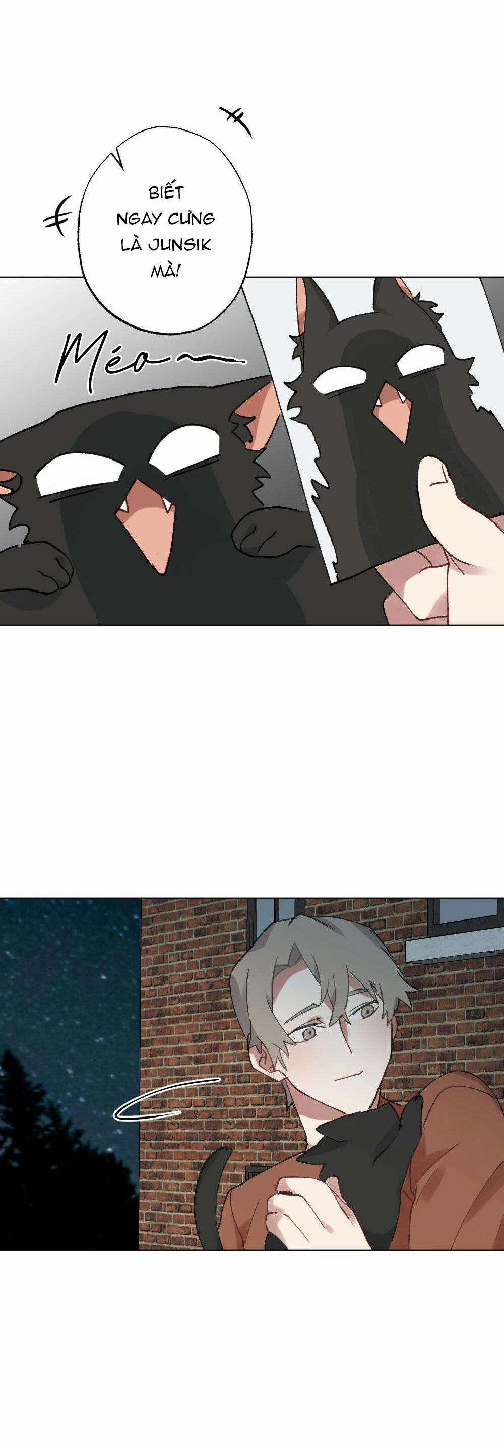 CHĂM SÓC 56 trang 4