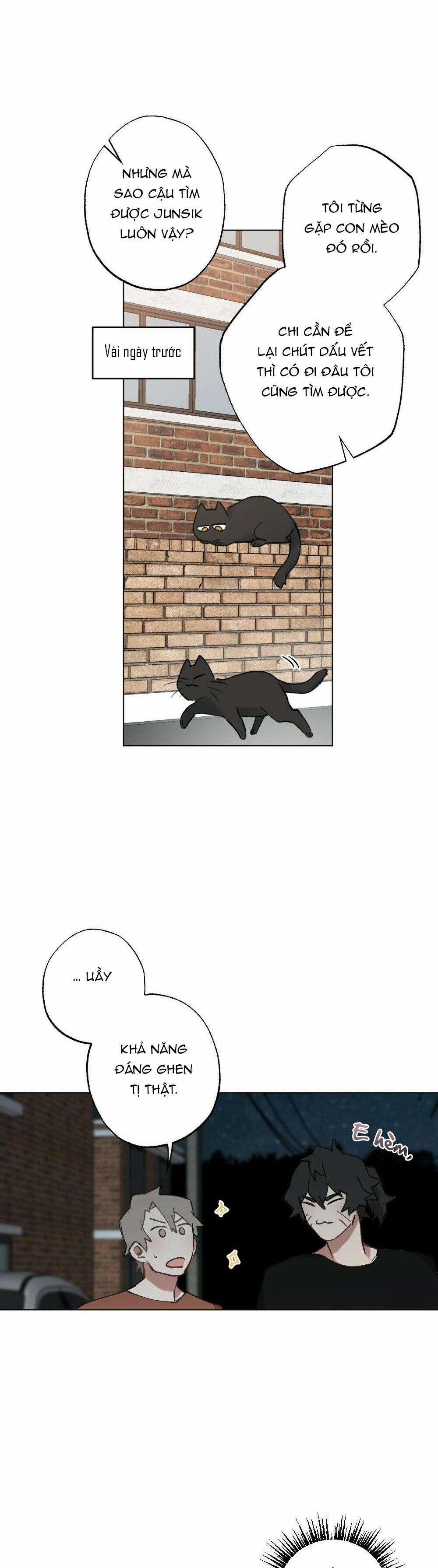 CHĂM SÓC 56 trang 7