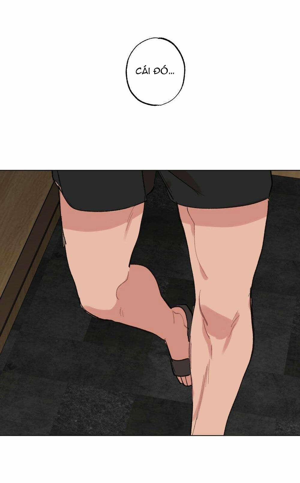 CHĂM SÓC 58 trang 12