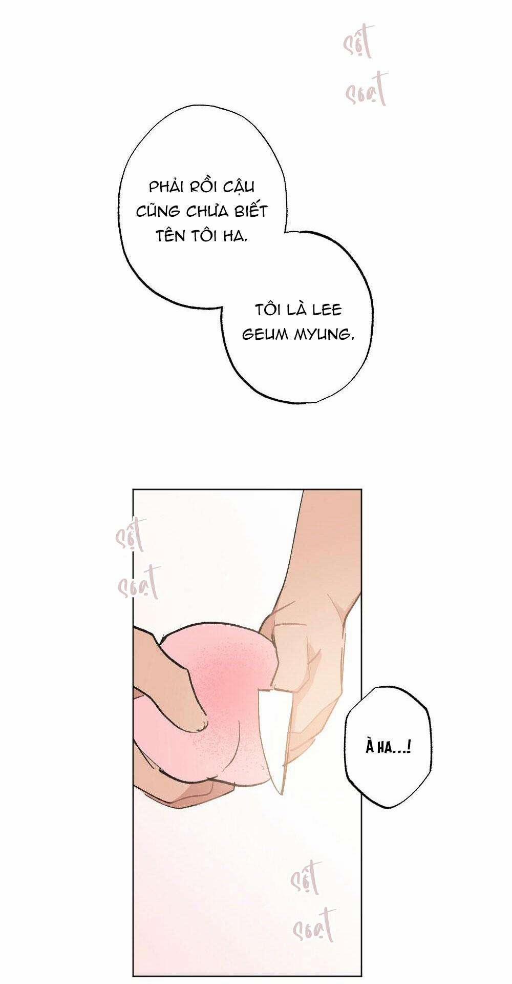 CHĂM SÓC 58 trang 23