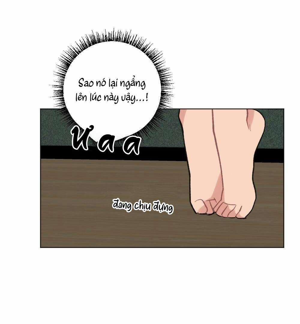 CHĂM SÓC 58 trang 36