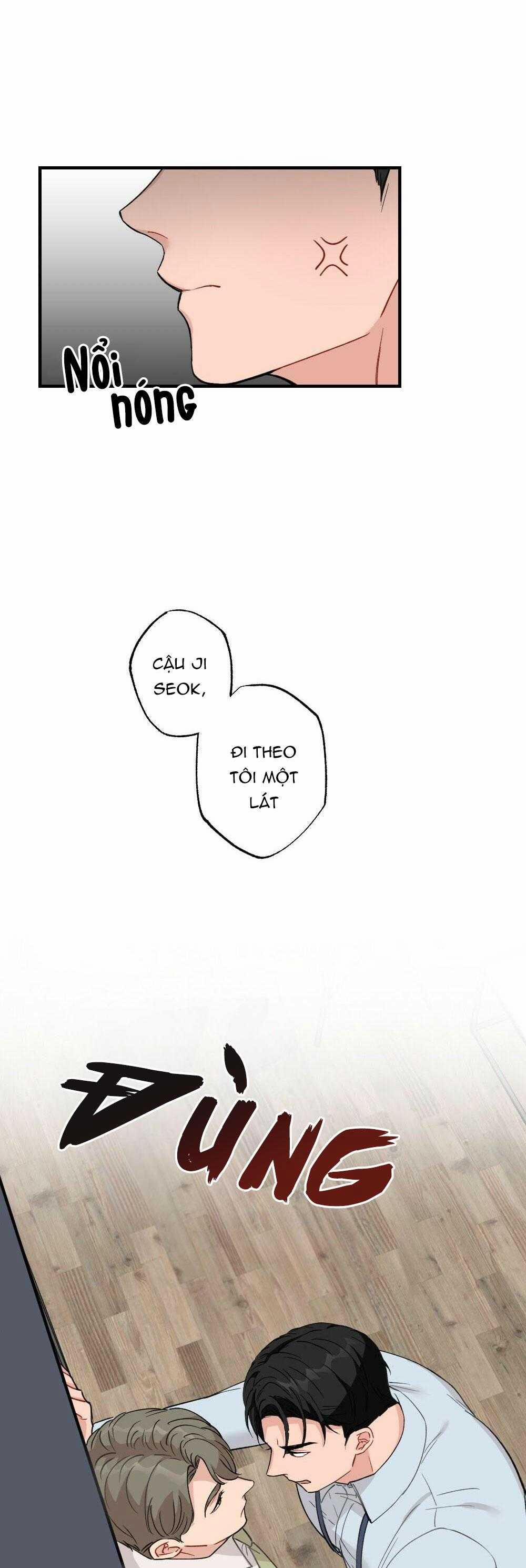 CHĂM SÓC 60 trang 13