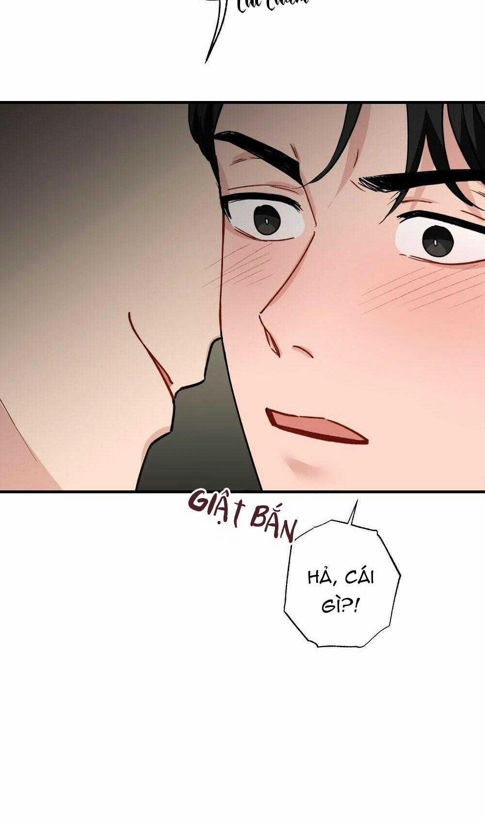 CHĂM SÓC 60 trang 16