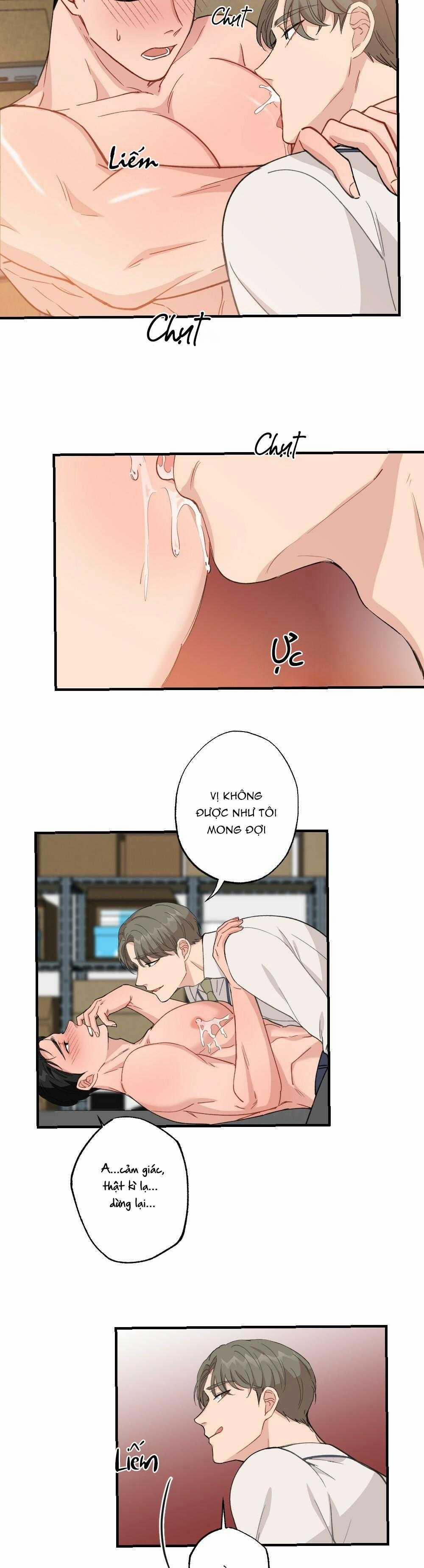 CHĂM SÓC 61 trang 13