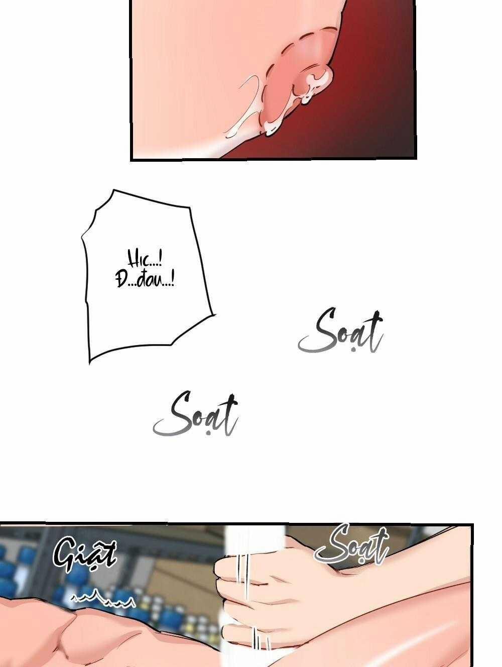 CHĂM SÓC 61 trang 17