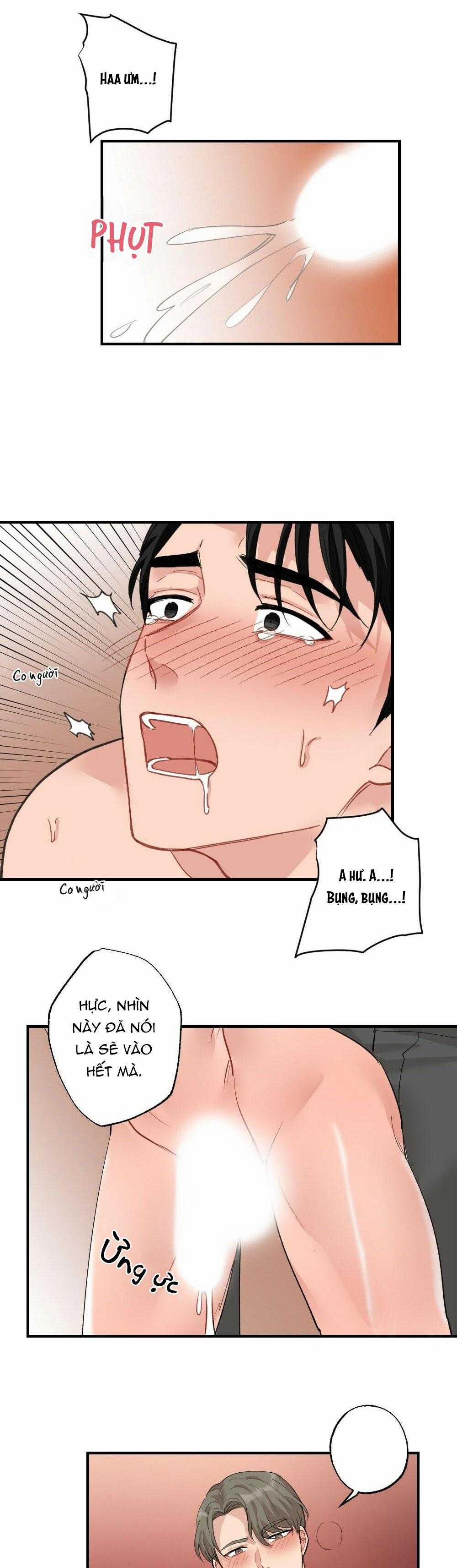 CHĂM SÓC 62 trang 17