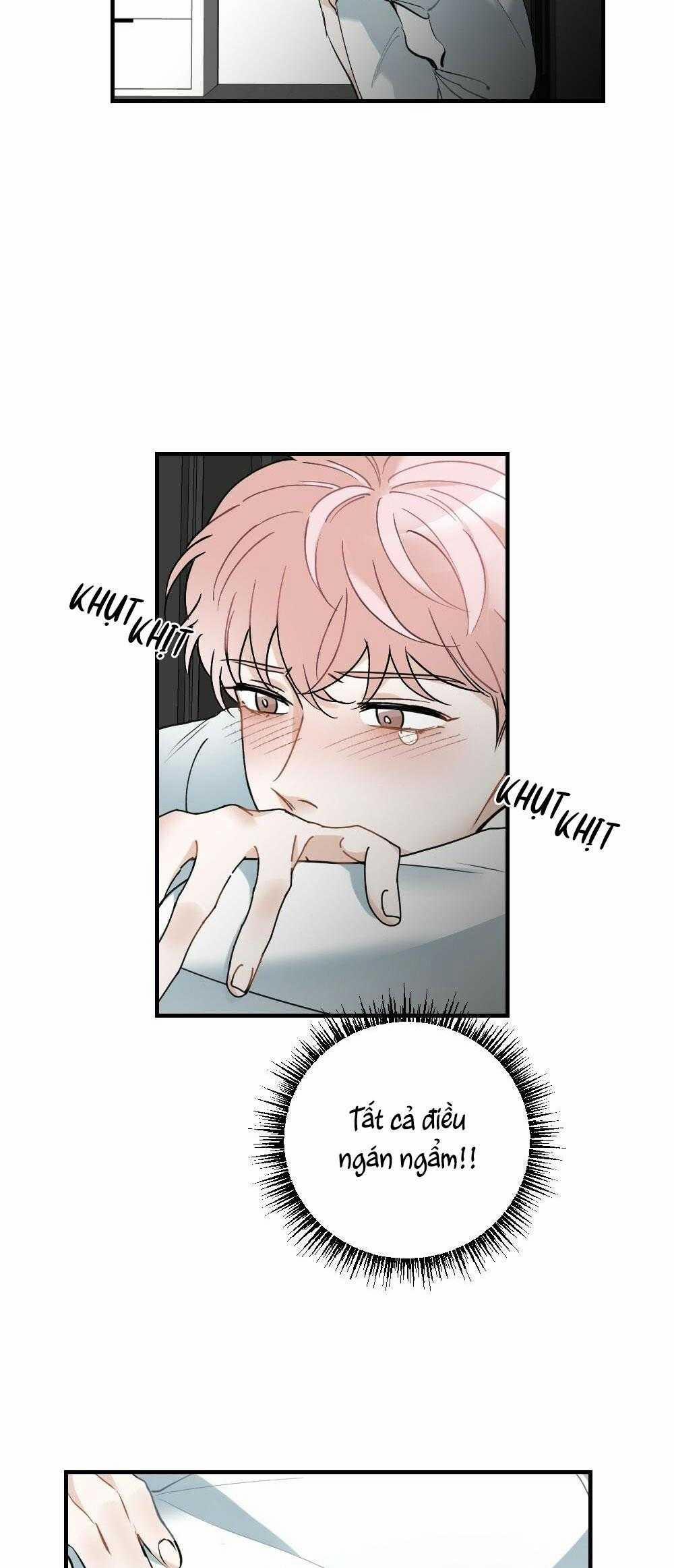 CHĂM SÓC 63 trang 12