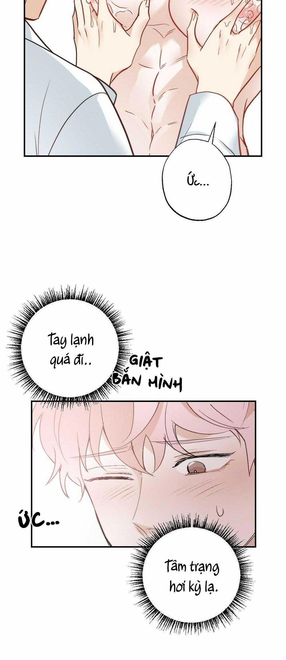 CHĂM SÓC 64 trang 15