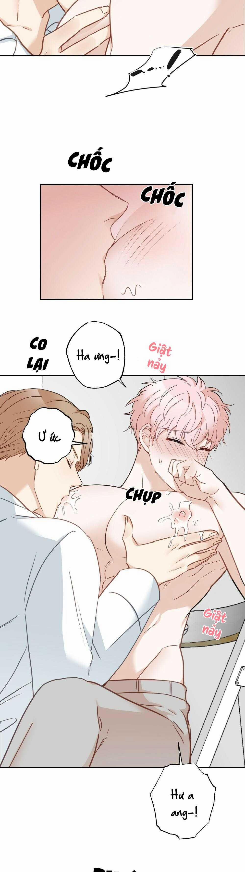 CHĂM SÓC 64 trang 35