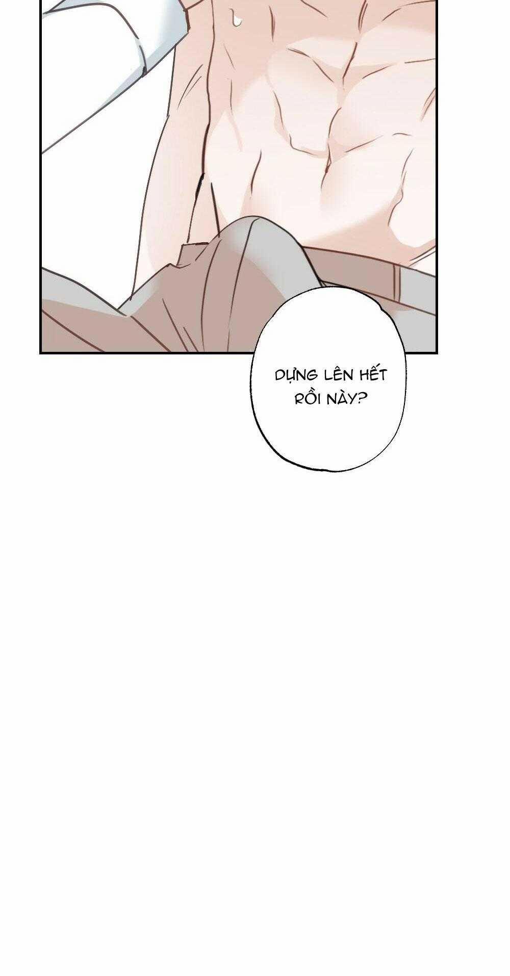 CHĂM SÓC 64 trang 40