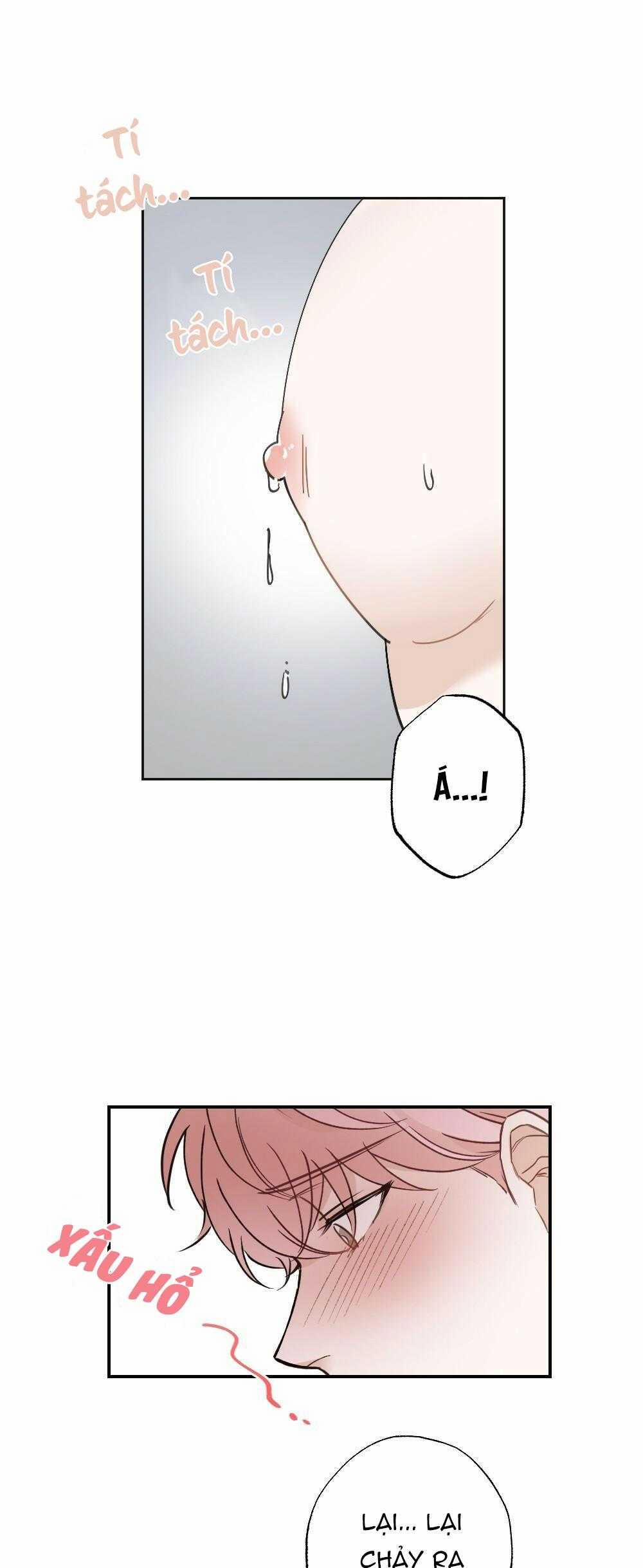 CHĂM SÓC 64 trang 8