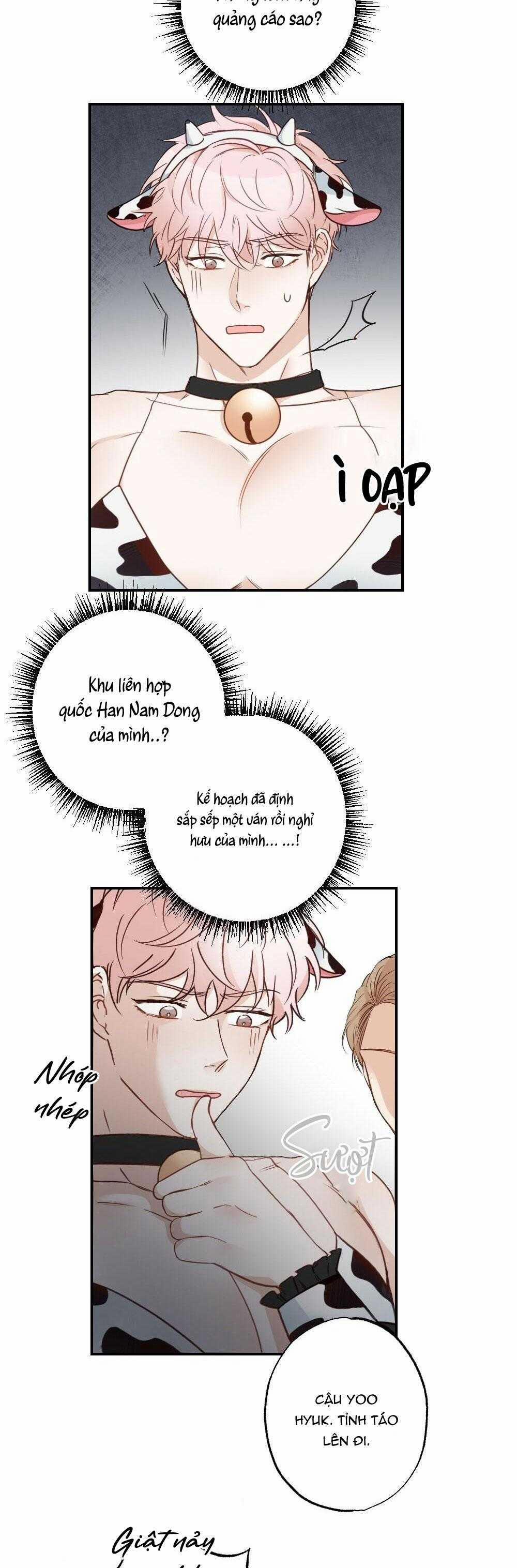 CHĂM SÓC 65 trang 15