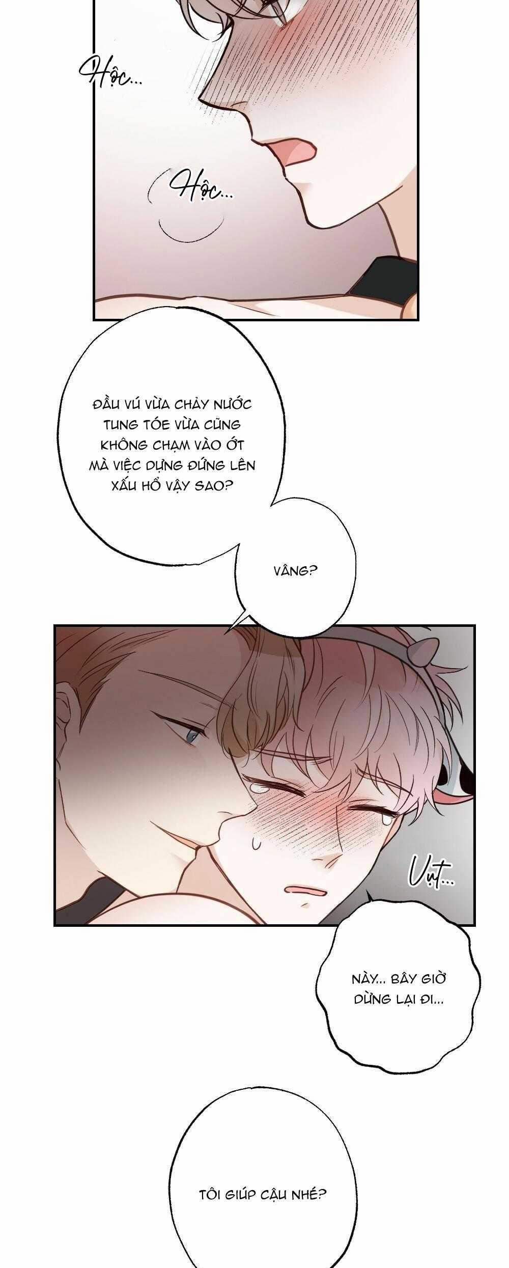 CHĂM SÓC 65 trang 24