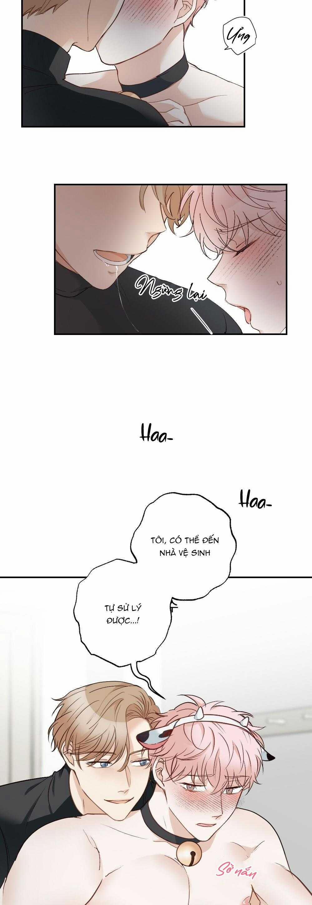 CHĂM SÓC 65 trang 27