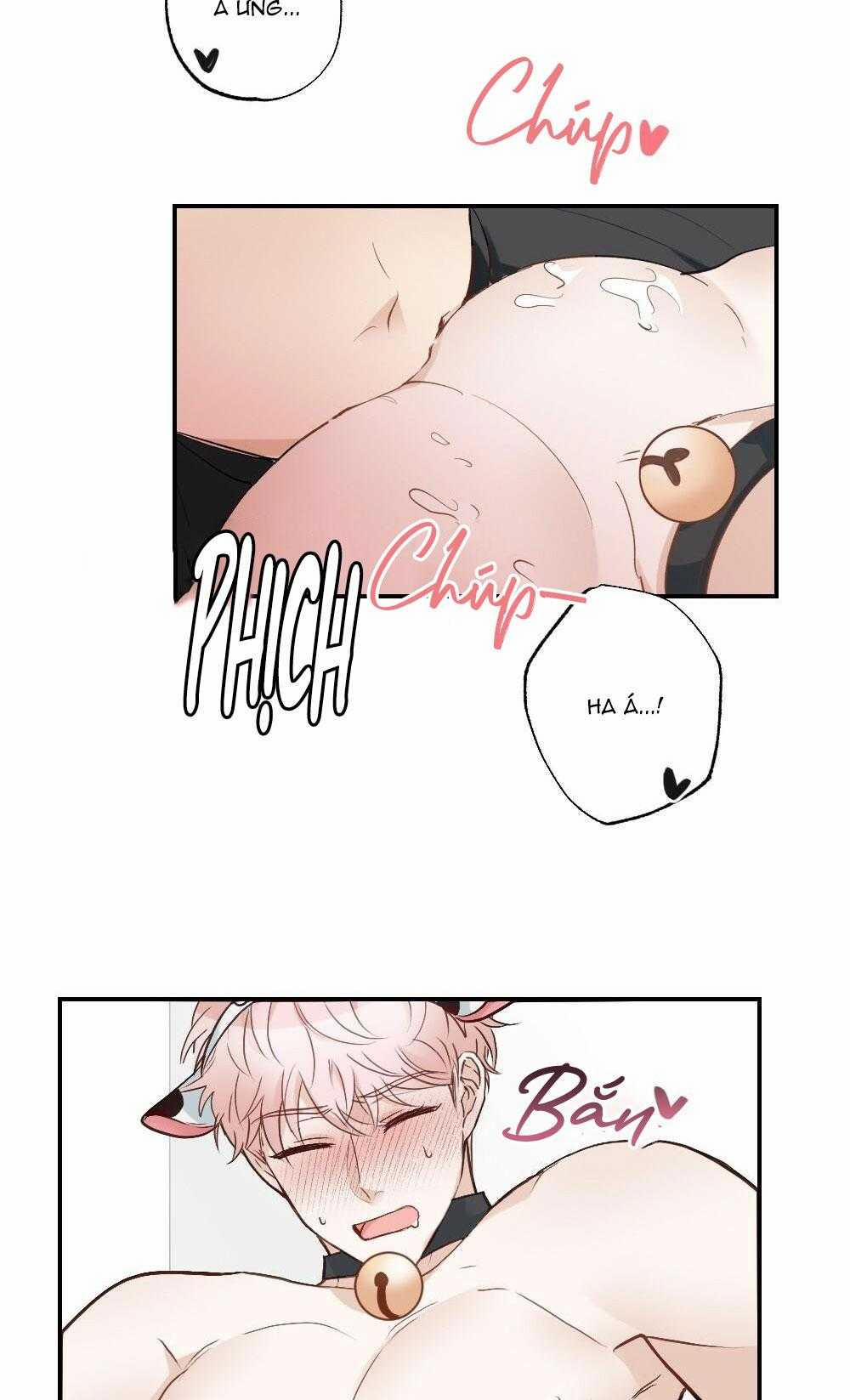 CHĂM SÓC 65 trang 31