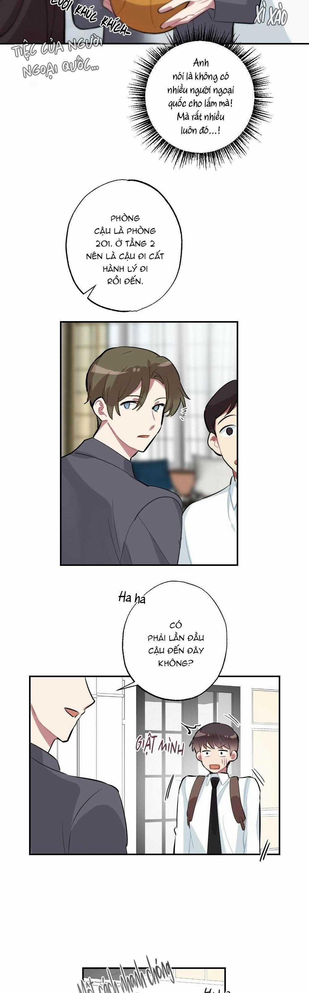 CHĂM SÓC 66 trang 11