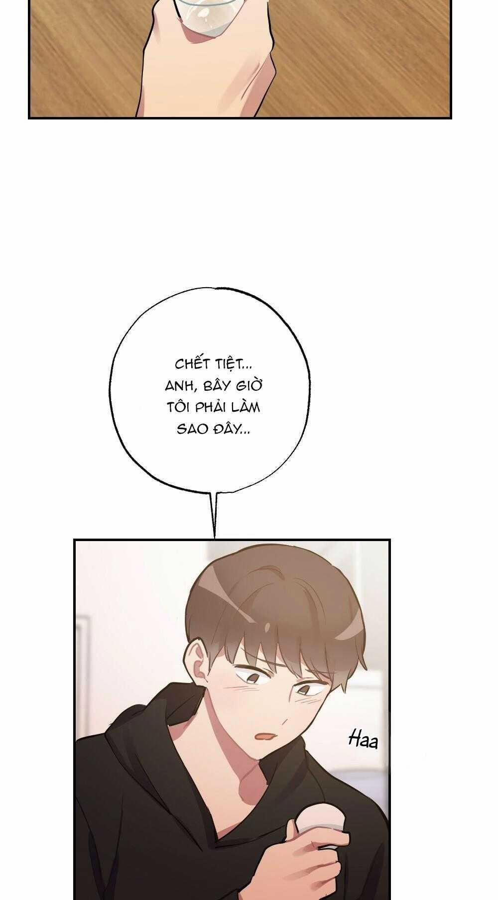 CHĂM SÓC 66 trang 4