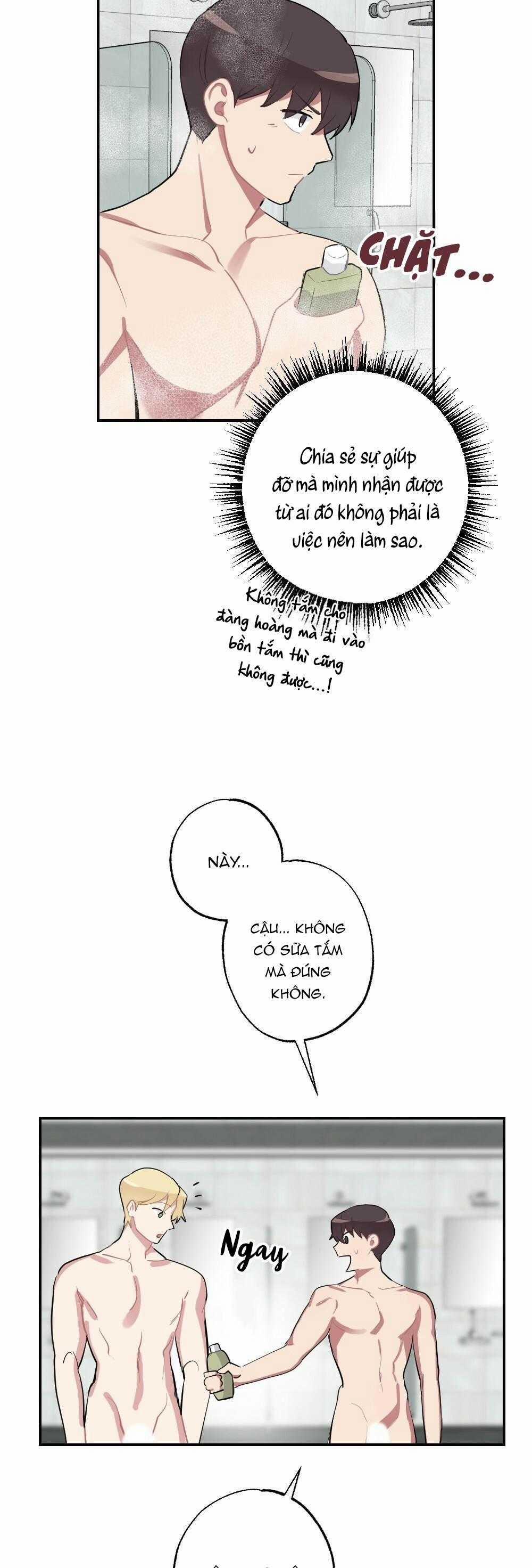 CHĂM SÓC 67 trang 11