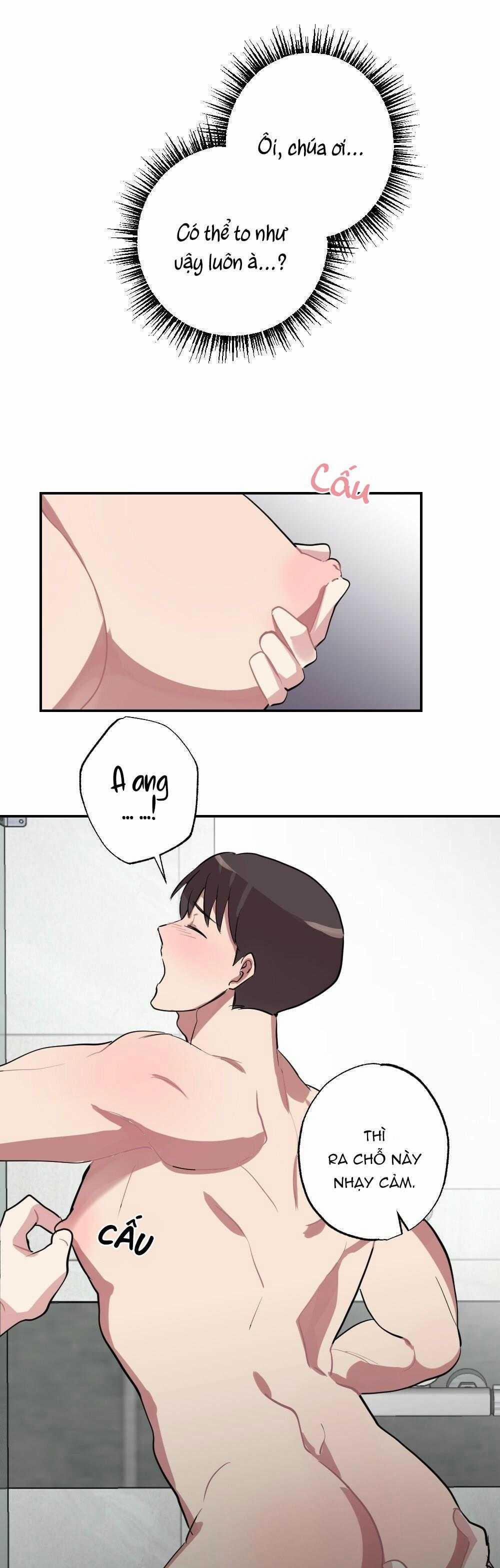 CHĂM SÓC 67 trang 28