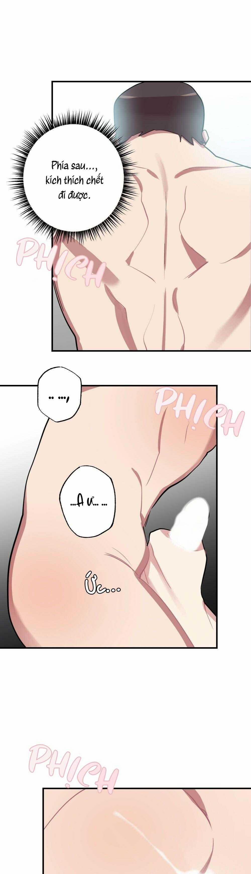 CHĂM SÓC 68 trang 12