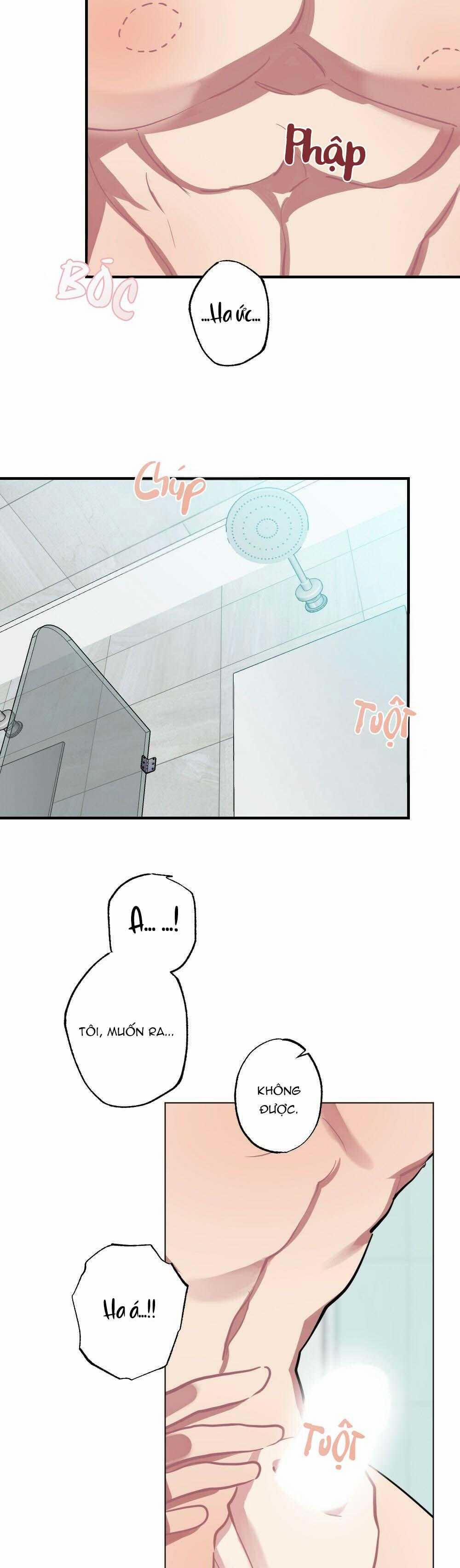 CHĂM SÓC 68 trang 8