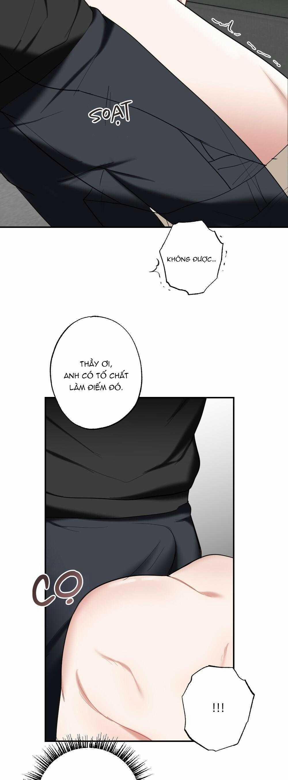 CHĂM SÓC 72 trang 31