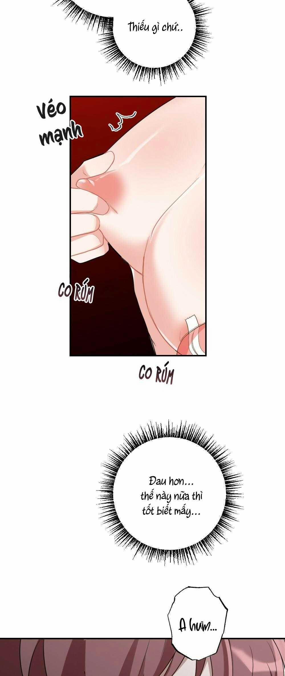 CHĂM SÓC 74 trang 43