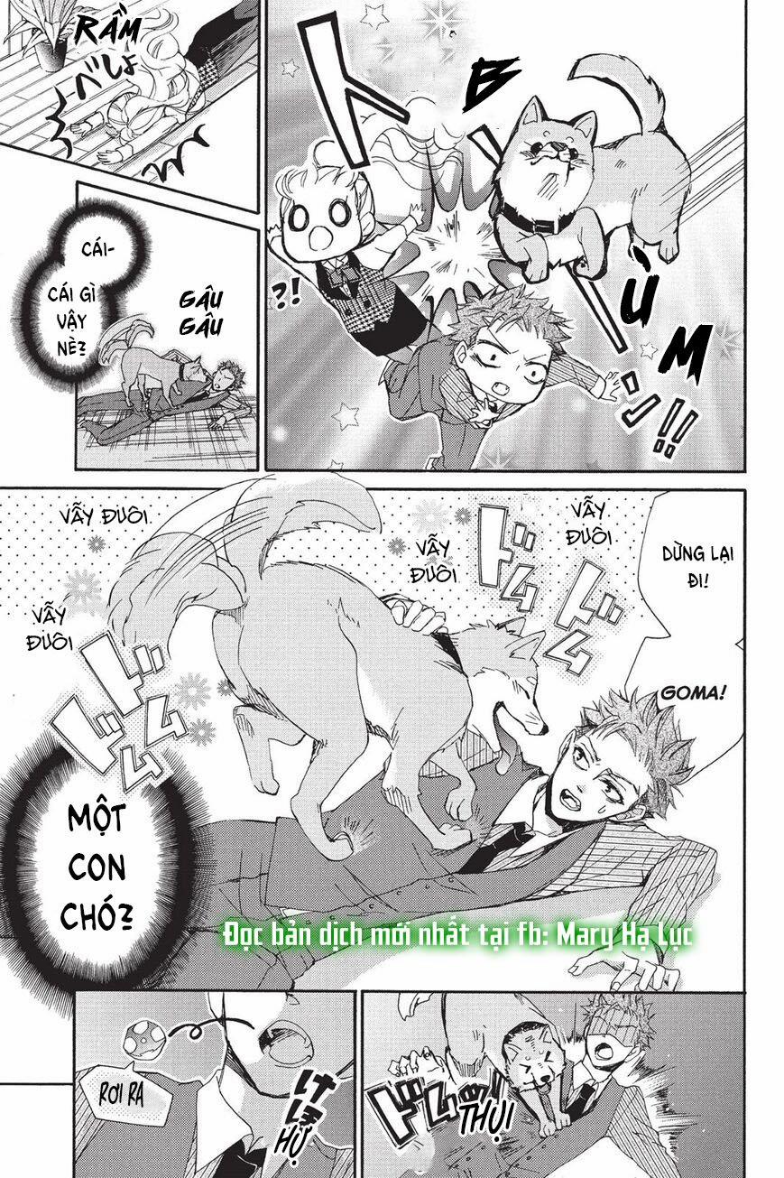 Chàng Báo Đen Và Cô Nàng Ngọt Ngào Tuổi 16 13 trang 11