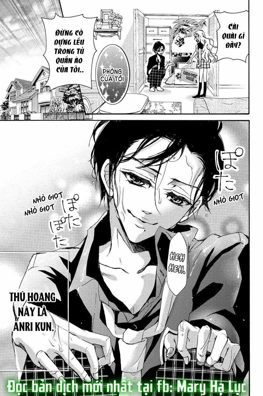 Chàng Báo Đen Và Cô Nàng Ngọt Ngào Tuổi 16 3 trang 3