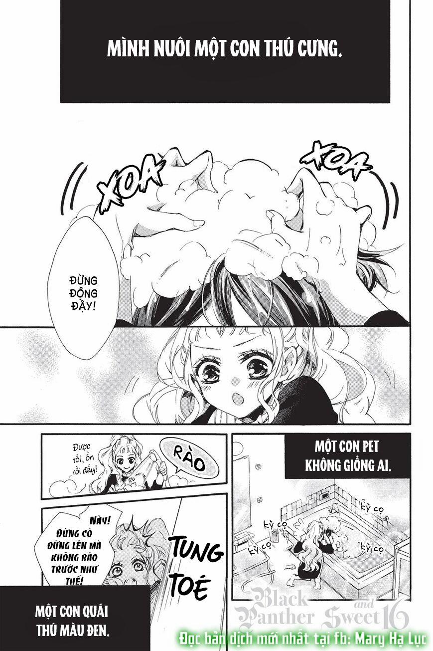 Chàng Báo Đen Và Cô Nàng Ngọt Ngào Tuổi 16 5 trang 3