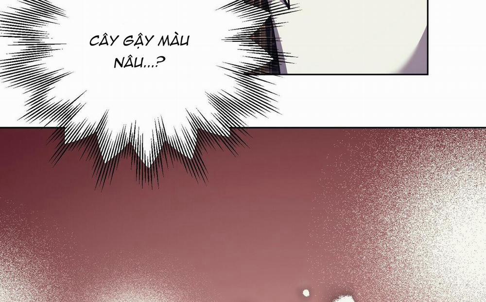 Chàng Dâu Nhà Họ Kang 18 trang 11