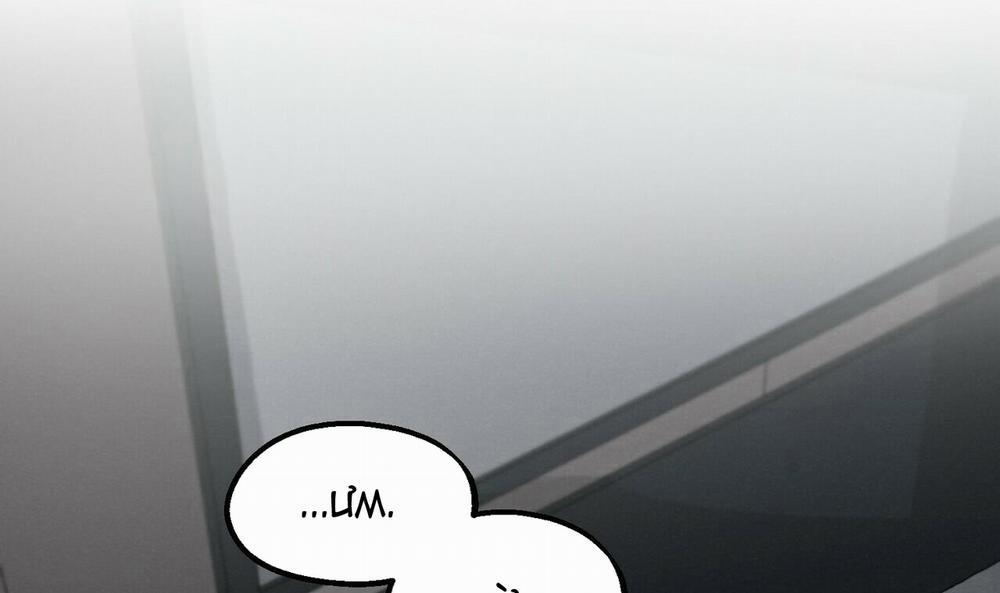 Chàng Dâu Nhà Họ Kang 19 trang 130