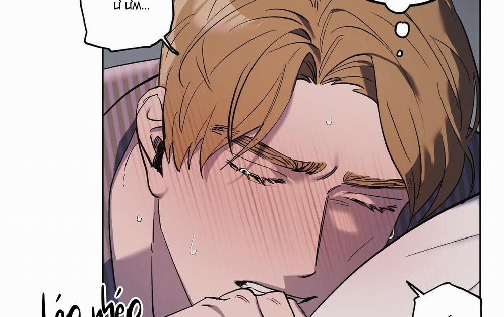 Chàng Dâu Nhà Họ Kang 20 trang 11