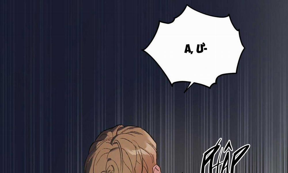 Chàng Dâu Nhà Họ Kang 23 trang 8