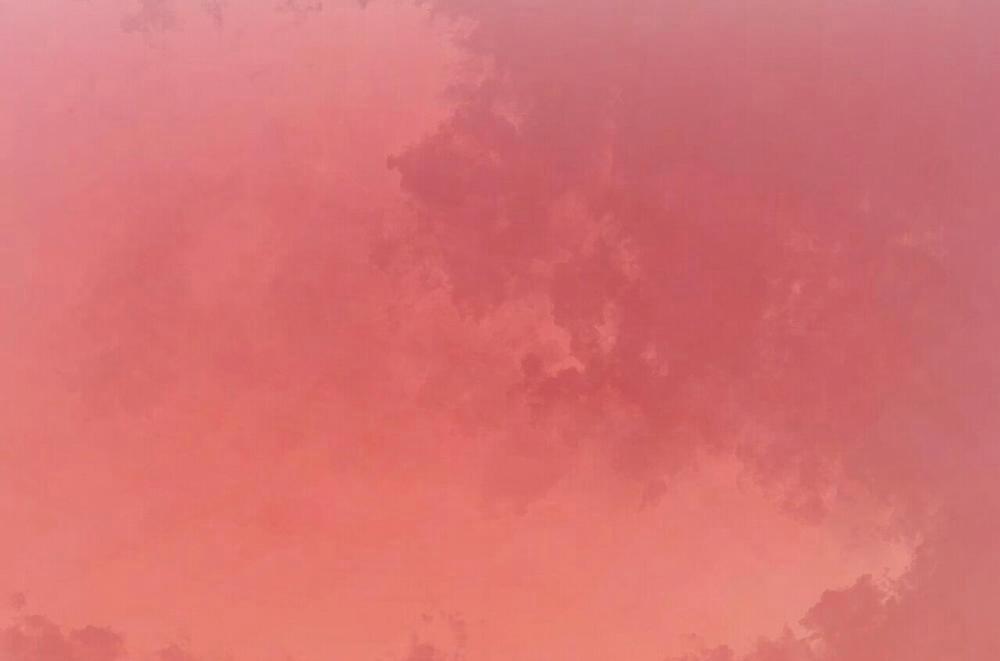 Chàng Dâu Nhà Họ Kang 28 trang 16