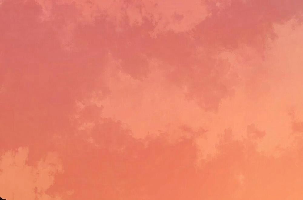 Chàng Dâu Nhà Họ Kang 28 trang 17