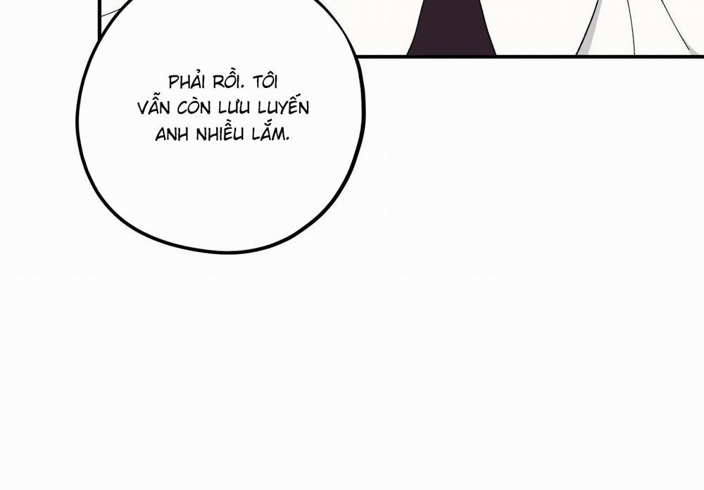 Chàng Dâu Nhà Họ Kang 34 trang 12